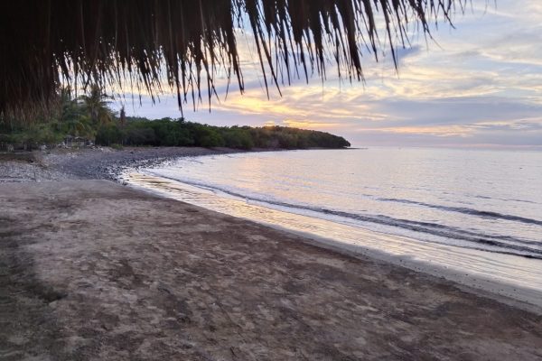 La Foto Del Día.