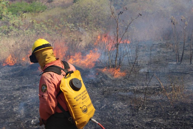 PRÁCTICAMENTE APAGADO INCENDIO DEL SAN JUAN, INFORMA EL GOBIERNO