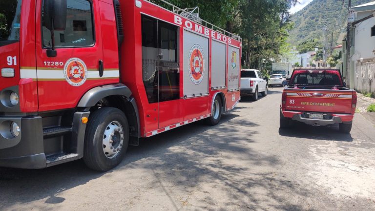 EN COLONIA RODEO DE LA PUNTA, BOMBEROS PODAN ÁRBOLES