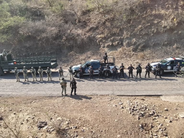 DAN RESULTADOS OPERATIVOS; ASEGURAN ARMAS, CARTUCHOS,. VEHÍCULOS Y A MALOSOS