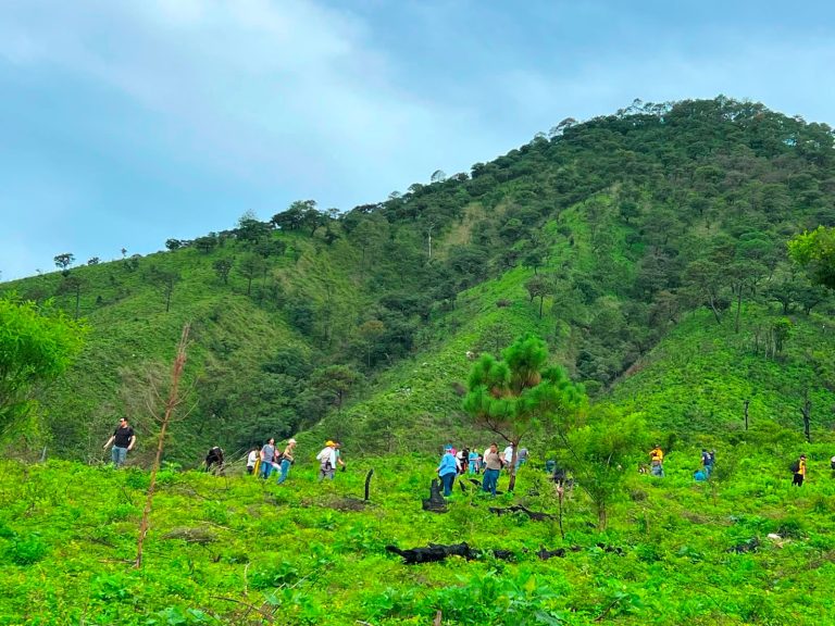 OTROS 4 MIL 200 ÁRBOLES SE PLANTAN EN EL SAN JUAN