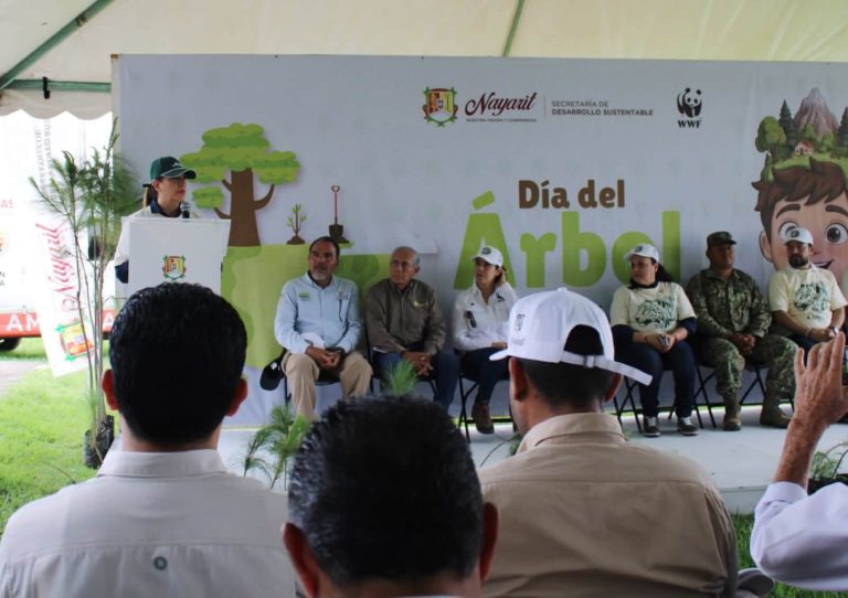 INICIA SIEMBRA DE 16 MIL ÁRBOLES EN EL CERRO SAN JUAN